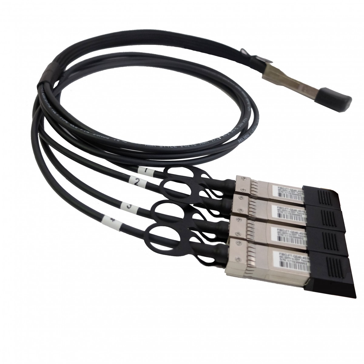 FH-DP4T30QS01_1