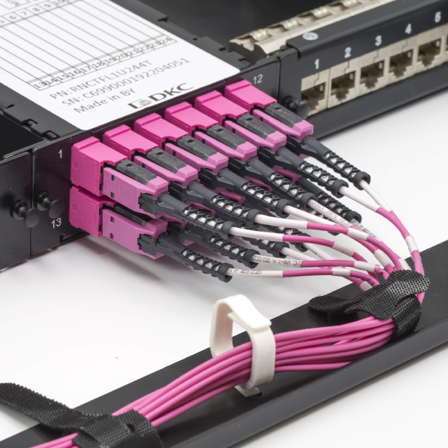 xz8wi5t7wgg44xwd4pphastt4chqg0qv