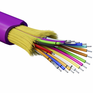 0kzveettbanskbbu2kn80jppnff5de0k