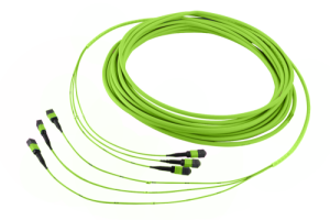 43M-50-12-M1-M1-100-0G-FFB-51_0