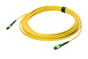 43M-S2-12-M1-M1-015-MMA-25_0