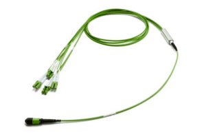 43H-50-08-M8-LC-020-0E-M-50_0