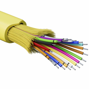 yew28wzxad89bfo3ydtpw8x8jgilbgbz