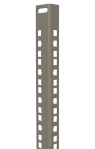 445279_2