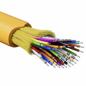 1rm5qlfqhrd17g0zcmuvbb3mbrxhitsd