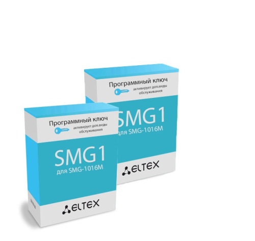 Eltex Пакет "АТС+СОРМ" из двух опций для одного шлюза SMG-1016M: SMG1-PBX-2000 и SMG1-SORM