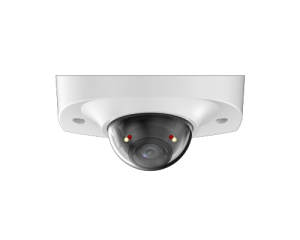DH-IPC-HDBW2449FP-AS-IL-0360B_1