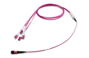 43H-40-08-M8-LC-040-0E-M-50_0