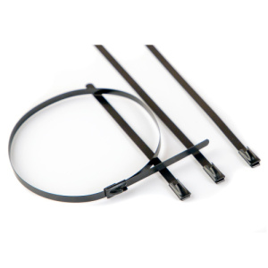 3a5a56dd6f67f6f3e15440a54638e7e4