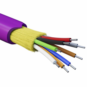 4am53iksor5b1iby1osf69w9xee7dirj