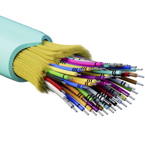 olds6wsu0qu87tyuubocusdgrodn0aif