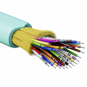 jvhbhip5jm53t1dxd7q1jo800ib44jcw