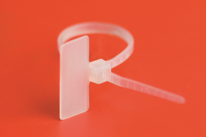 19f804081634548b3c9513319b365180