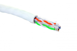 19C-U6-12WT-B305_0 19C-U6-12WT-B305_0