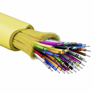 p2n63l0n381rpy8695trdwwwniw5xj0z